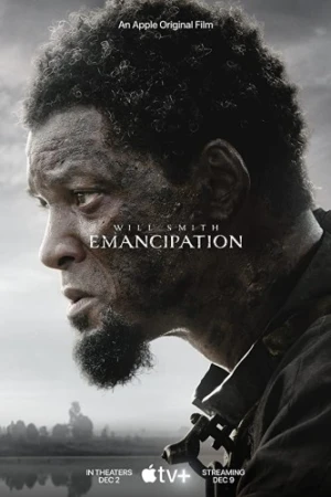 Theatrical Poster