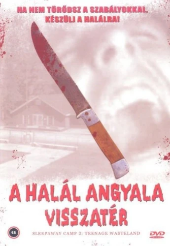 VHS Cover (Hungary)