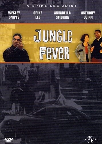 DVD Cover (France)