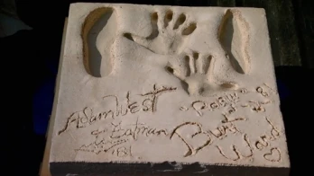 Bat Prints