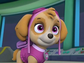 Pups Save a High-Flying Skye/Pups Go for the Gold