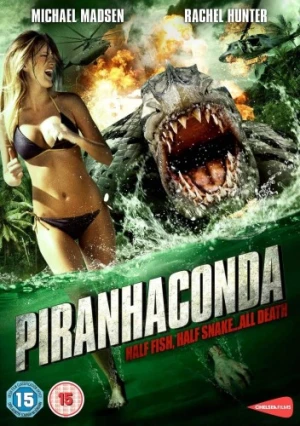 DVD Cover (UK)