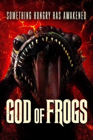 DVD Cover (Miracle Media)