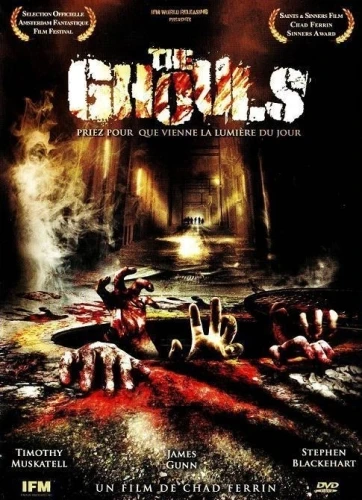 DVD Cover (France)