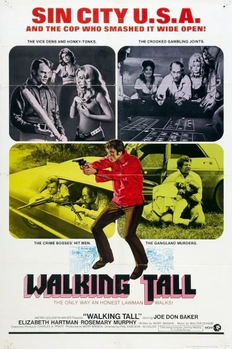 Theatrical Poster (USA)