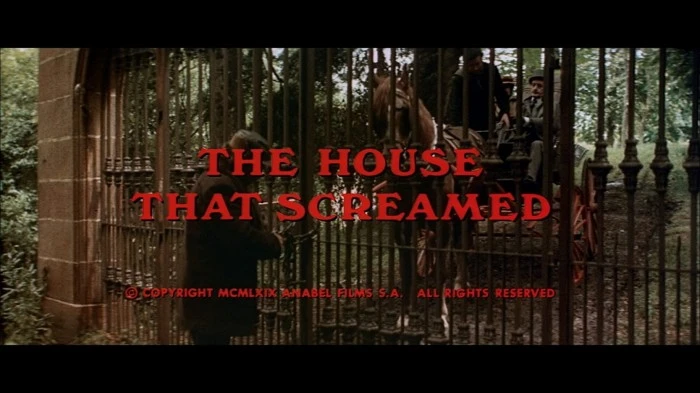 Title Card