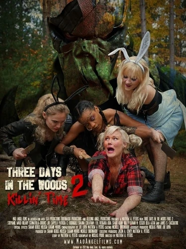 Theatrical Poster