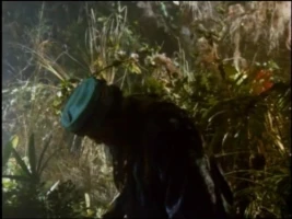 Spirit of the Swamp