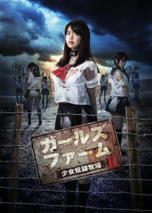DVD Cover (Japan)