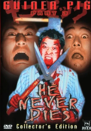 DVD Cover (Devil Pictures)