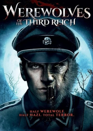 DVD Cover (4Digital Media)