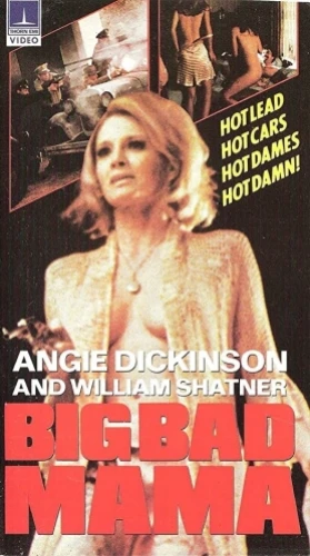 VHS Cover (UK)