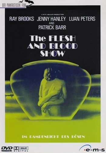 DVD Cover (Germany)