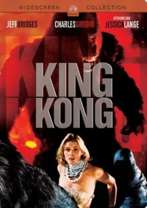 DVD Cover (Warner Brother)