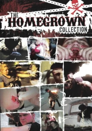 DVD Cover (Hollymood Entertainment)