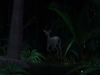 Call of the Wild