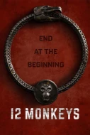 12 Monkeys: Season 4