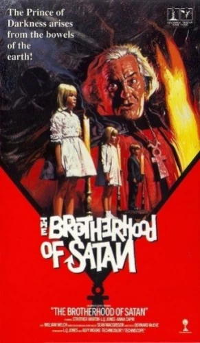 VHS Cover (Poland)