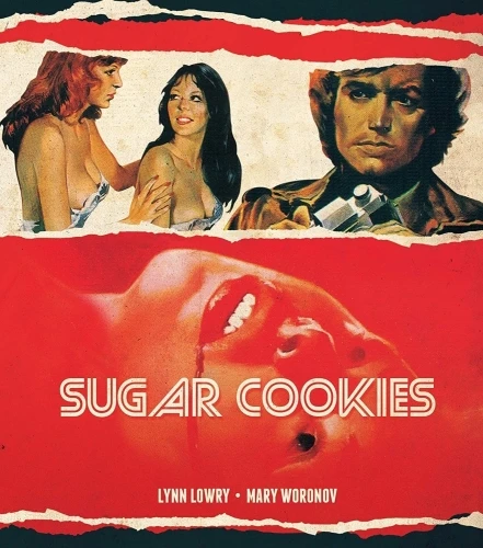 Blu-Ray Cover (Vinegar Syndrome)