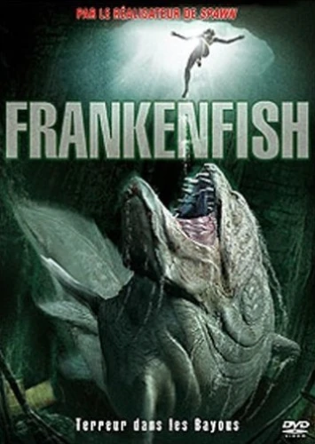 DVD Cover (France)