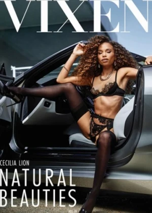 DVD Cover (Vixen)