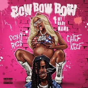 Bow Bow Bow (F My Baby Mama)