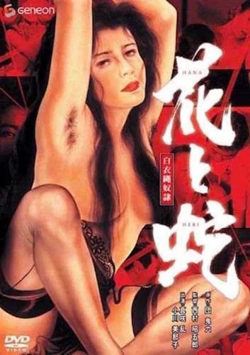 DVD Cover (Japan)