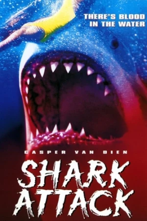 DVD Cover (Lions Gate)