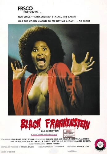 Theatrical Poster