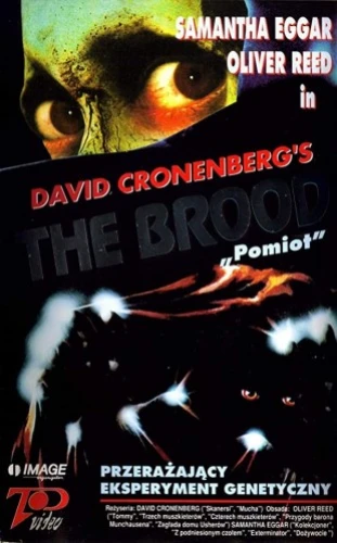 VHS Cover (Poland)