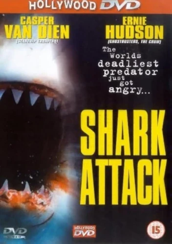 DVD Cover (Hollywood DVD)