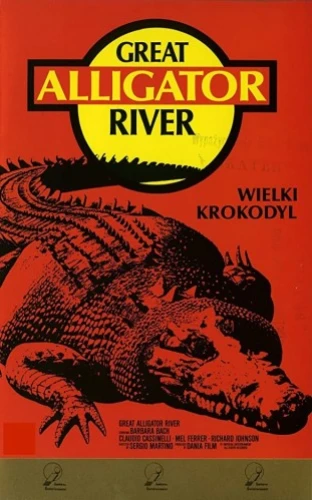 VHS Cover (Poland)