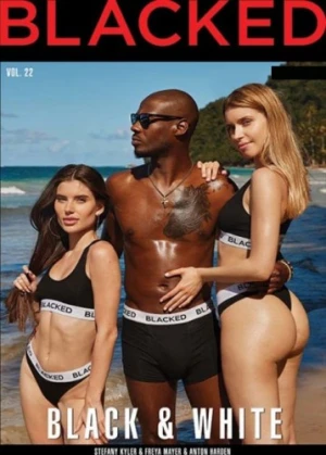 DVD Cover (Blacked)