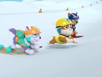 Pups Save a Snowboard Competition/Pups Save a Chicken of the Sea