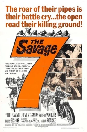 Theatrical Poster (USA)
