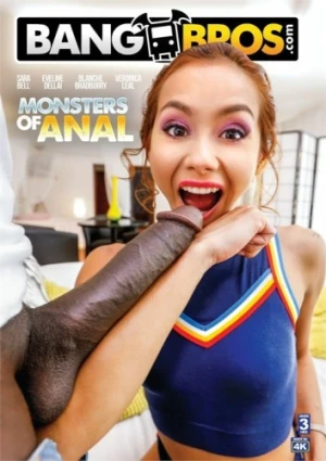 DVD Cover (Bang Bros Productions)