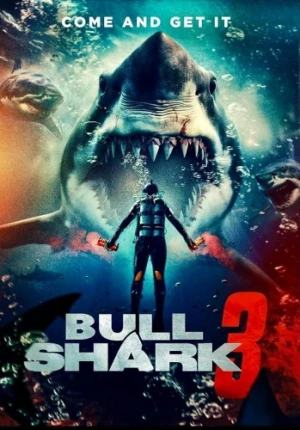 Theatrical Poster