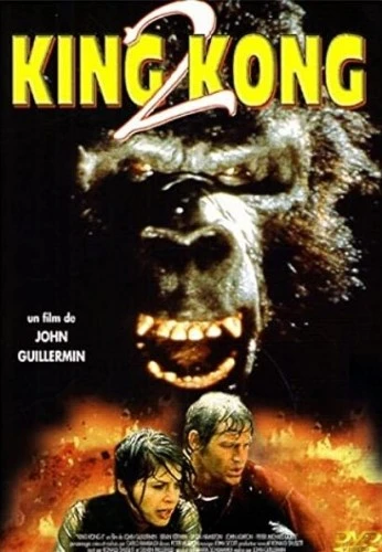 DVD Cover (France)