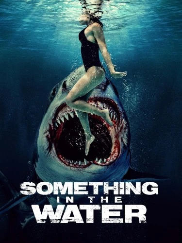 DVD Cover (Samuel Goldwyn Films)