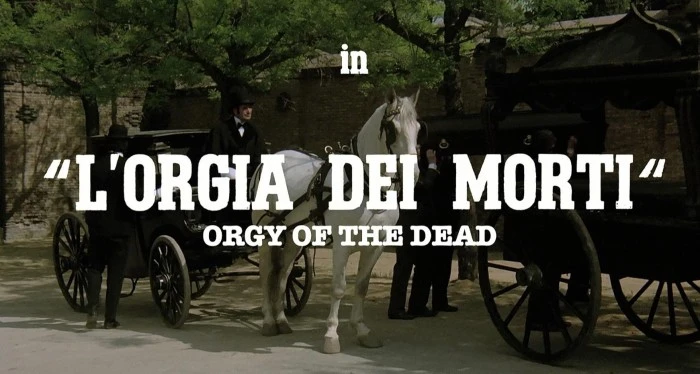 Title Card