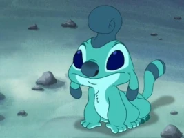 Yaarp: Experiment 613