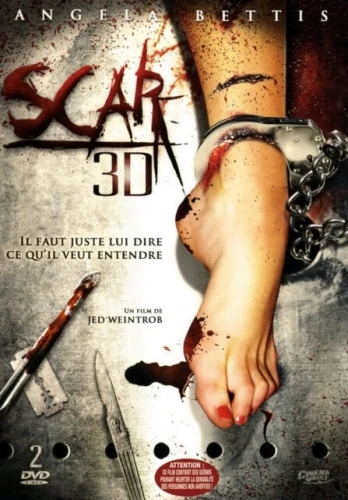 DVD Cover (France)