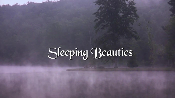 Title Card