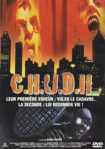 DVD Cover (France)