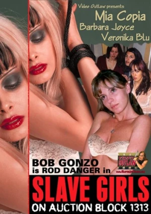 DVD Cover (Video Outlaw)