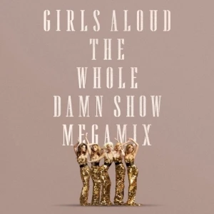 The Whole Damn Show Megamix