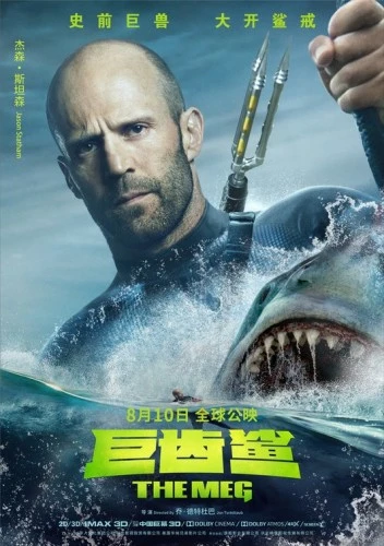 Theatrical Poster (Japan)