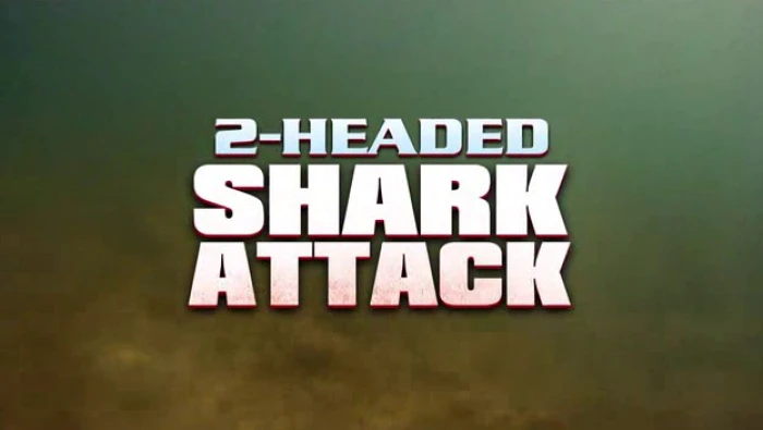 Title Card