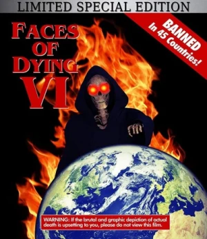 Theatrical Poster