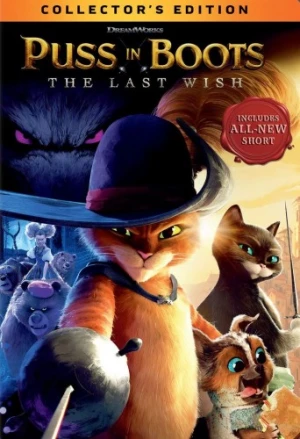 DVD Cover (Universal)